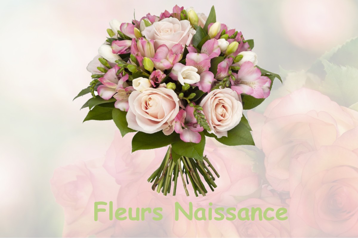 fleurs naissance VACHERAUVILLE