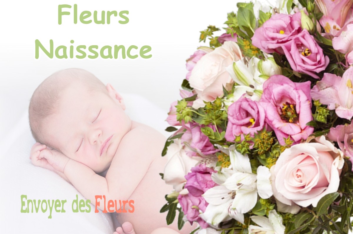 lIVRAISON FLEURS NAISSANCE à VACHERAUVILLE